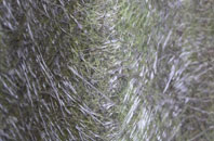 Crosswater fibreglass roof work